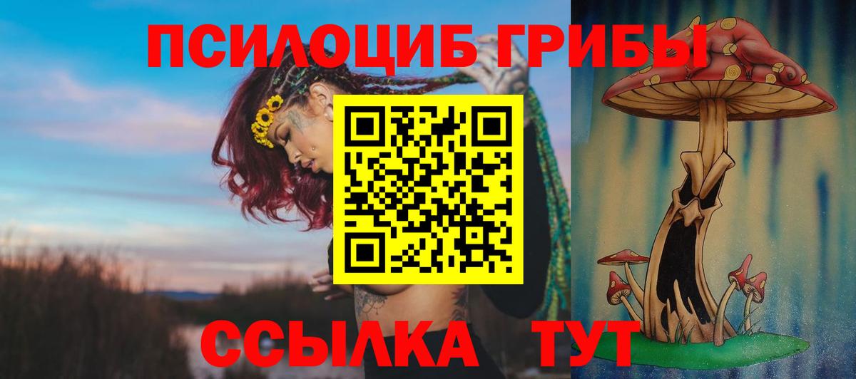 Ивантеевка  сколько стоит  Вход с VPN  Псилоцибиновые грибы Cubensis 